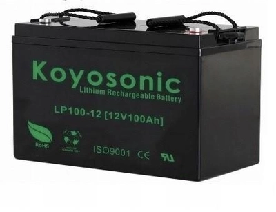 Литиевая батарея KOYOSONIC LIFEPO4 12V 100AH BMS