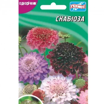 Скабіоза 0,3 г Геліос
