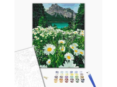 Картина за номерами Ромашки біля гір, Brushme (40х50 см)
