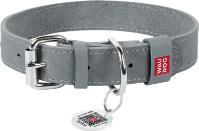 Нашийник для собак шкіряний WAUDOG Classic S Ш 15 мм Дл 27-36 см Сірий (020711Collar)