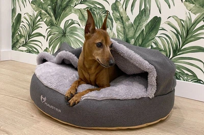 Лежак для Собак та Котів Haustier Lounge Gray з капюшоном L - діаметр 100см (B10-1-059)