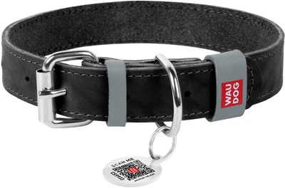 Ошейник для собак кожаный WAUDOG Classic 12 мм х 19-25 см Черный (02011Collar)