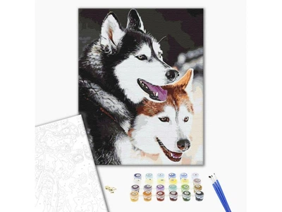 Картина за номерами Хаскі, Brushme (40х50 см)