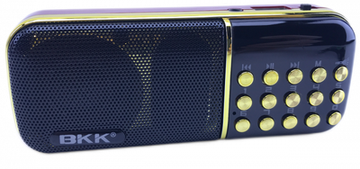 Радіоприймач USB/MP3 B851SS/8209 з USB та MP3 компактний кишеньковий