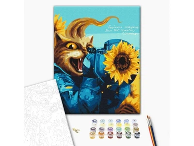Картина по номерам Котик современный Казак, Brushme (40х50 см), BS53122