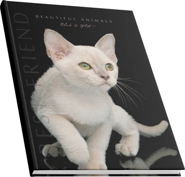 Канцелярская книга Аркуш А4 в клетку 192 листа Белый кот (1В2381)