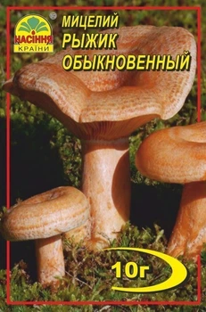 Міцелій гриба Рижик Звичайний Насіння Країни 10 г