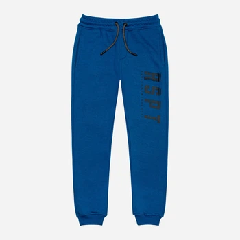 Детские теплые спортивные штаны-джогеры Minoti 11JOGGER 6 37283KID 80-86 см Синие (5059030928513)