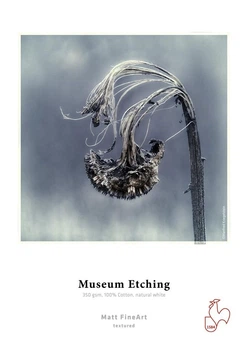Фотобумага Hahnemuhle Museum Etching 350 г/м², текстурная, 44" рулон 12 м