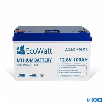 Акумуляторна батарея EcoWatt LiFePO4 для ІБП, 100 А/год