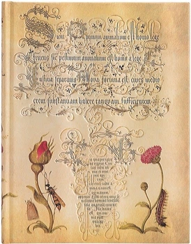 Блокнот Paperblanks Ботанічні Дива Фламандська Троянда великий 18 х 23 см нелінований