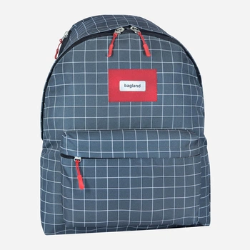 Рюкзак 24 л Bagland Stylish L 1052418305 1339 Різнокольоровий (2010524183057)