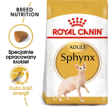 Sucha karma dla dorosłych kotów Royal Canin Sphynx Adult 10 kg (3182550758857) (2556100)