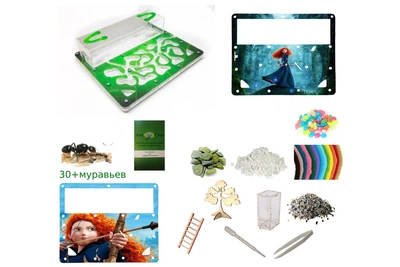 Муравьиная ферма Стандарт Амазонка Премиальный Комплект Lite