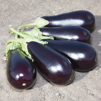 семена Баклажан Прадо F1 (KS27) 20сем Kitano Seeds