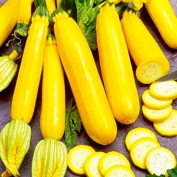 Семена Кабачки Золотинка 20сем Империя семян
