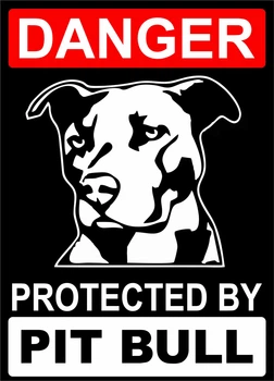 Металева табличка "Danger. PitBull", 25см*18см