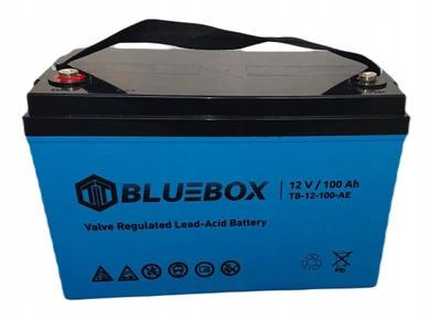 Акумуляторна батарея Bluebox 12V 100Ah AGM