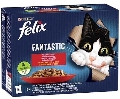 Вологий корм для котів Purina Felix Fantastic М'ясні смаки в желе 12 x 85 г (7613039758021)