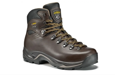 Ботинки мужские Asolo TPS 520 GV Chestnut, р. 43,5 (43 2/3) (ASL A11012.A635-9.5)