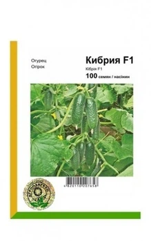 Огурец Кибрия F1 - 100 сем. А (Rijk Zwaan).