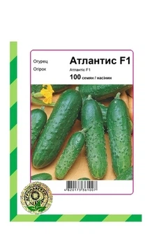 Огурец Атлантис F1 - 100 семян А (Bejo Zaden).