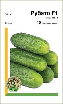 Огірок "Рубато" F1 – 10 с. (Rijk Zwaan).