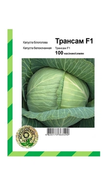 Капуста білокачанна Трансам F1 - 100 насінин Агропакгруп (Bejo Zaden).