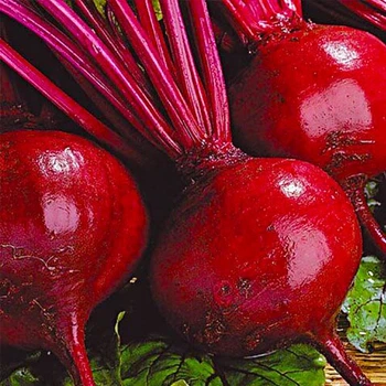 семена Свекла Бордо 237 5г Империя семян