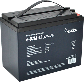 Тяговая аккумуляторная батарея AGM Merlion 6-DZM-45 12V 45Ah M5 (YT16727)