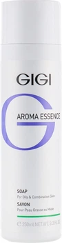 Мыло для жирной и комбинированной кожи - Gigi Aroma Essence Soap For Oily&Combination Skin 250ml (102960-76211)