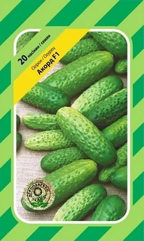 Огурец Акорд F1 - 20 семян А (Bejo Zaden).