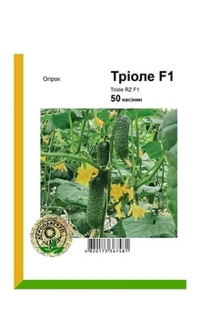 Огурец Триоле F1 50c. А.