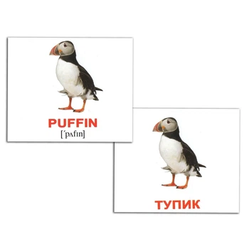 Набір міні-карток Домана укр.-англ. Птахи/Birds 40 шт Вундеркінд з Пелюшок (2100064455315)