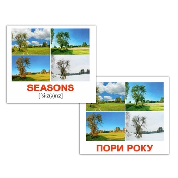 Набор мини-карточек Домана укр.-англ. Времена года/Seasons 40 шт Вундеркинд с Пеленок (2100064283512)