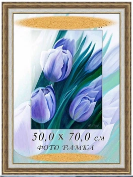 Фоторамка пластиковая под фото, рамка под графику, акварель, пастель, для грамот, сертификатов, дипломов 50х70, 5422-207