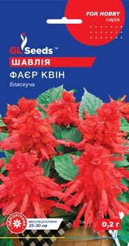 Шалфей Фаер Квин семена (0,2 г), For Hobby, TM GL Seeds