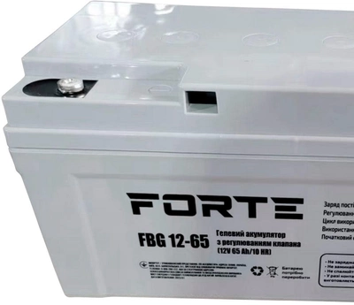 Аккумуляторная батарея Forte GEL FBG12-65 65Ah (BP125160)