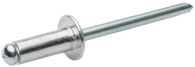 Заклепка з пласкою головкою 4х12 St/St І Steelfix 400 шт (135520)
