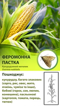 Феромонна пастка Дельта на кукурудзяного метелика (Ostrinia nubilalis)
