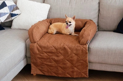 Лежак для Собак и Котов на диван Haustier Sofa Bed Gold S - 60х90х15см (S9-1-041)