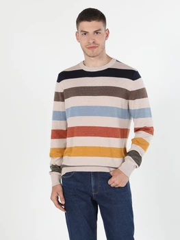 Джемпер чоловічий Colin's CL1059686MTC S Multicolou (8683197339232)