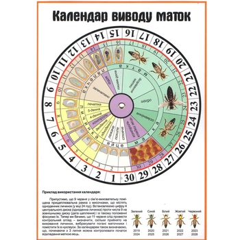 Календарь вывода маток