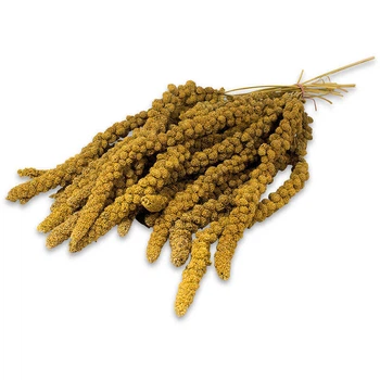 Жёлтое просо для волнистых попугаев и других декоративных птиц JR Farm Birds Spray Millet Yellow 250 г (4024344005046)