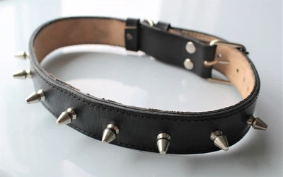 Ошейник для собаки кожаный с шипами Lockdog, Д 30-40 см, Ш 3 см (ld038_M)