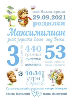 Метрика постер Їжачок акриловий в рамці А4 HeyBaby