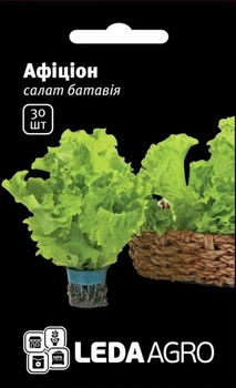 Салат Афіціон Leda Agro 30 шт