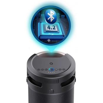 Портативна колонка Manta SPK 5120 Чорний 100 Вт USB/Bluetooth/AUX/FM-приймач