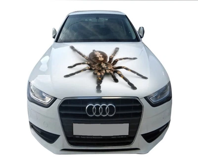 3д наклейка на капот ARB 3D TUNING STUDIO павук 1200х1500х0.080мм