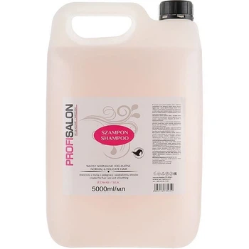 Шампунь для нормальных и чувствительных волос Profi Salon (c протеинами шелка) 5 л